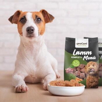 Ein Hund sitzt neben einer Schüssel mit Hundefutter und einem Paket mit der Aufschrift "proCani Lamm Menü," das Bilder von Fleisch und Gemüse zeigt.