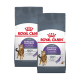 Zwei Beutel Royal Canin Appetite Control Katzenfutter, mit einer getigerten Katze und den Aussagen "Bewährte Ergebnisse" und "Über 90% Erfolg in 4 Wochen."