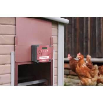 Automatischer Hühnerstall-Türöffner mit der Aufschrift „Easy Protect“ von Kerbl, montiert an einem Holzstall mit Hühnern in der Nähe.