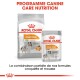 Emballage de nourriture pour chiens Royal Canin Coat Care présentant un sac de nourriture sèche pour petits chiens et un sachet de nourriture humide, avec un texte promouvant des pelages sains.