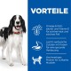 Ein glücklicher schwarz-weißer Hund mit rotem Halsband steht neben einem blauen Panel, das Vorteile für Haut, Verdauung und Muskeln auflistet.