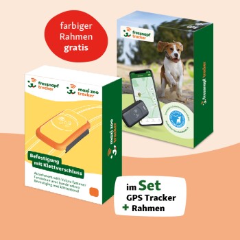 GPS-Tracker für Hunde orange