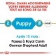 Étiquette Royal Canin pour les Bergers Allemands en français, indiquant la transition "Chiot" (2 mois) et "Adulte" (15 mois).