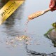 Eine Hand, die bunte Fischfutterpellets aus einer Holzschaufel in einen ruhigen Teich gießt, mit einem goldenen Banner "PREMIUM" in der Ecke.