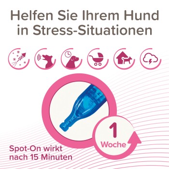 Spot-On für Hunde reduziert Stress in 15 Minuten. Deutscher Text: "Helfen Sie Ihrem Hund in Stress-Situationen" und "1 Woche."