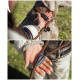 Nahaufnahme eines schwarz-braunen Hundes, der nach oben schaut, mit einem Halsband und einer Leine, vor einem verschwommenen natürlichen Hintergrund.