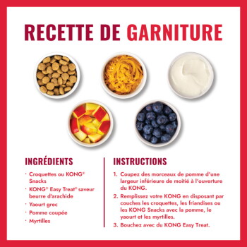 Affiche 'RECETTE DE GARNITURE' avec bols de croquettes, beurre de cacahuète, yaourt, pomme, myrtilles et instructions
