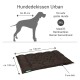 Hundebett "Urban" für sehr große Hunde, Maße 120 cm x 100 cm, 9 cm dick, geeignet für Rassen wie Mastiff und Berner Sennenhund.