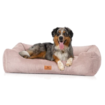 Ein Hund, der auf einem weichen, rosa Cord-Hundebett mit einem kleinen Lederetikett mit einer Hundesilhouette entspannt.