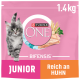 Purina ONE Junior Katzenfutterbeutel, 1,4 kg, mit einem grauen Kätzchen, mit dem Text "Bifensis" und "Reich an Huhn" auf einem rosa Hintergrund.
