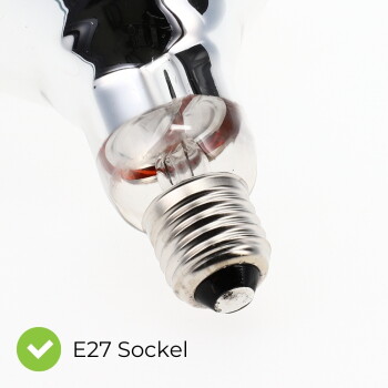 Nahaufnahme einer Glühbirne mit E27-Schraubsockel, Glasbirne und Metallgewinde, dazu grünes Häkchen und Text 'E27 Sockel'.