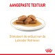 Een bord met vochtige hondenvoerstukjes in jus, met "Aangepaste textuur" in het rood en "Stimuleert de eetlust van de Labrador" in het goud.