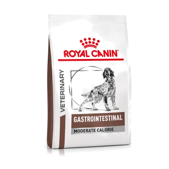 Royal Canin Veterinary Gastrointestinal Moderate Calorie hondenvoer zak met een silhouet van een hond, met de nadruk op spijsverteringsgezondheid.