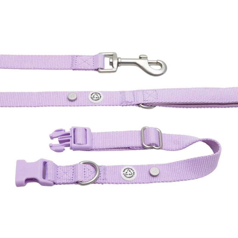Barkalot Hundehalsband-Auslaufset flieder S