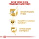 Infographic promoting tailored nutrition for dogs, highlighting benefits: ideal muscle mass, healthy cardiac function, and antioxidant complex.