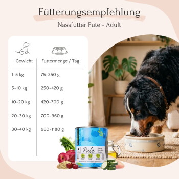 Dosenfutter für Haustiere mit der Aufschrift "100% Geschmack", das Truthahn, Quinoa, Rote Beete und Fenchel enthält, mit Beschreibungen der Vorteile der Zutaten.