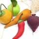 Bunte Filzhaustiere, die wie Früchte und Gemüse geformt sind, darunter eine Orange, ein grüner Apfel, eine Karotte, eine rote Chili und eine Rübe.