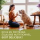 Une femme en pull confortable s'agenouille avec un golden retriever dans une pièce lumineuse. Texte : "Riche en protéines, nutrition équilibrée, goût délicieux !"