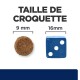 Image montrant deux tailles de croquettes pour animaux : une croquette ronde de 9 mm à côté d'un dé bleu mesurant 16 mm, avec le texte "TAILLE DE CROQUETTE" au-dessus.