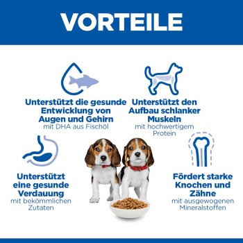 VORTEILE-Banner; zwei Beaglewelpen mit einer Schüssel Kibble und Icons für Augen/Gehirn, Verdauung, Muskeln, Knochen (deutscher Text)