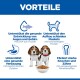 VORTEILE-Banner; zwei Beaglewelpen mit einer Schüssel Kibble und Icons für Augen/Gehirn, Verdauung, Muskeln, Knochen (deutscher Text)
