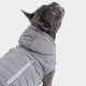 Hundejacke IMMI Grau M