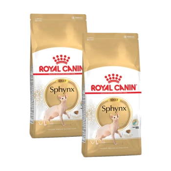 Zwei Beutel Royal Canin Adult Sphynx Katzenfutter, mit einer Sphynx-Katzenillustration, mit einem gold-weißen Design.