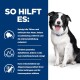 Ein schwarz-weißer Border Collie sitzt neben einem Text in Deutsch, der die Vorteile der Zahngesundheit für Haustiere beschreibt, einschließlich Zahnreinigung und frischem Atem.