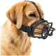 Eine Nahaufnahme eines goldenen Labradors mit einem schwarzen Maulkorb, der seinen sanften Ausdruck und das verstellbare Band auf seinem Kopf zeigt.