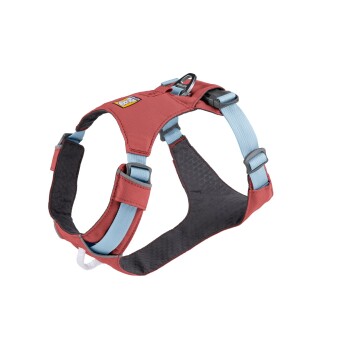 Hi & Light™ Geschirr lachs S