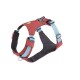 Rotes und blaues Hundegeschirr mit verstellbaren Riemen und gepolstertem Innenraum, mit einem Logo-Patch auf der Vorderseite.