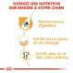 Image promouvant une nutrition canine sur mesure avec des icônes pour la santé digestive, la santé de la peau et du pelage, et la santé des os et des articulations.