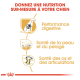 Image promouvant une nutrition canine sur mesure avec des icônes pour la santé digestive, la santé de la peau et du pelage, et la santé des os et des articulations.