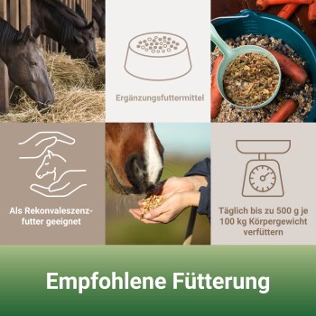Bild von Fütterungshinweisen für Pferde mit einer Futterschüssel, einem Pferd, das aus einer Hand frisst, und einer Waage. Text: "Empfohlene Fütterung."