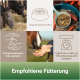 Bild von Fütterungshinweisen für Pferde mit einer Futterschüssel, einem Pferd, das aus einer Hand frisst, und einer Waage. Text: "Empfohlene Fütterung."