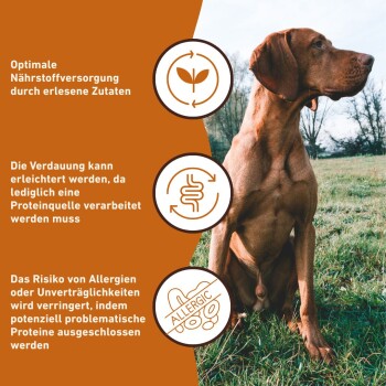 Ein brauner Hund sitzt auf Gras, mit Text, der optimale Ernährung, einfachere Verdauung mit einzelnen Proteinquellen und reduzierte Allergierisiken hervorhebt.