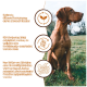 Ein brauner Hund sitzt auf Gras, mit Text, der optimale Ernährung, einfachere Verdauung mit einzelnen Proteinquellen und reduzierte Allergierisiken hervorhebt.
