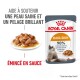 Emballage de nourriture pour chats Royal Canin Hair & Skin à côté d'une assiette de nourriture humide pour chats, avec un texte mettant en avant les bienfaits pour la santé de la peau et du pelage.