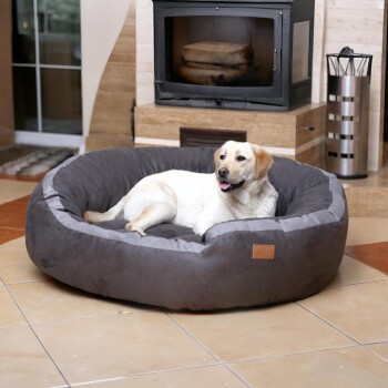 Gelber Labrador liegt auf einem großen grauen Haustierbett in einem Wohnzimmer mit Kamin im Hintergrund.