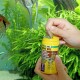 Eine Person öffnet einen gelben Behälter mit JBL Pro Novo Bel Fischfutter, mit sichtbaren Flocken im Inneren, umgeben von grünen Wasserpflanzen und Fischen.