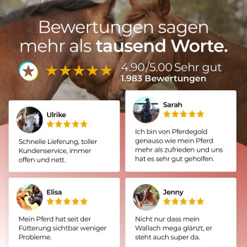Zwei Pferde, die sich beschnuppern, vor einem Bewertungsbanner mit Fünf-Sterne-Bewertungen und deutscher Überschrift 'Bewertungen sagen mehr'