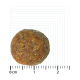 Ein einzelnes rundes Haustierfutter-Kibble, braun mit einer strukturierten Oberfläche, auf einem Messraster mit Zentimeter-Markierungen dargestellt.