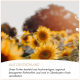 Sonnenblumen auf einem Feld mit deutschem Text über hochwertiges, regional bezogenes Haustierfutter aus Oberbayern.