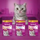 Eine verspielte graue Tabbykatze leckt sich die Lippen vor drei Whiskas-Hundeleckerlipackungen: Anti-Haarball, Dentabites und Vitamin E-Xtra, die alle das Gesicht derselben Katze zeigen.