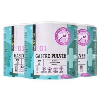 GASTRO Pulver 3x300 g
