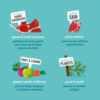 Image des ingrédients de nourriture pour animaux : agneau, bœuf, abats, fruits (pomme, carotte, betterave), légumes et herbes (persil, aneth) pour des bienfaits pour la santé.