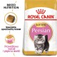 Torba z jedzeniem dla kociąt Royal Canin z uroczą ilustracją kociaka i tekstem o żywieniu specyficznym dla rasy oraz krokietach.