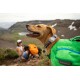 Ein glücklicher Golden Retriever mit einem leuchtend grünen Ruffwear-Rucksack steht auf einem felsigen Pfad, mit einer malerischen Berglandschaft im Hintergrund.