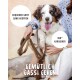 Trikolor hechelnder Hund mit Besitzer, der die Leine hält; sichtbarer Text: „Bequemer Griff“, „360° Karabiner“, „Gemütlich Gassi Gehen“.