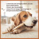 Ein goldener Cocker-Spaniel-Welpe sitzt neben "WILDFANG" Geweihkausnahrung, bekannt für ihre Langlebigkeit, niedrige Kalorien und natürliche Zutaten.